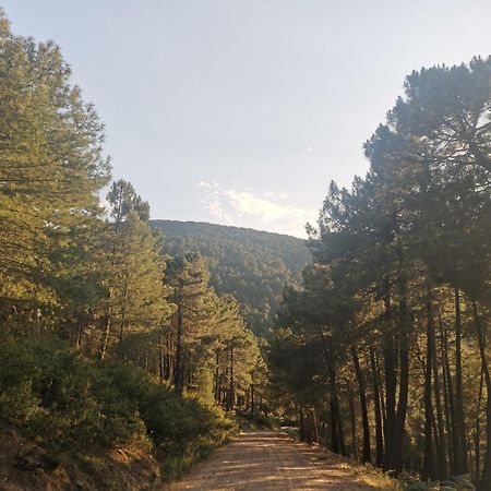 Вілла Bonita Casa En El Bosque - Ель-Тьємбло Екстер'єр фото