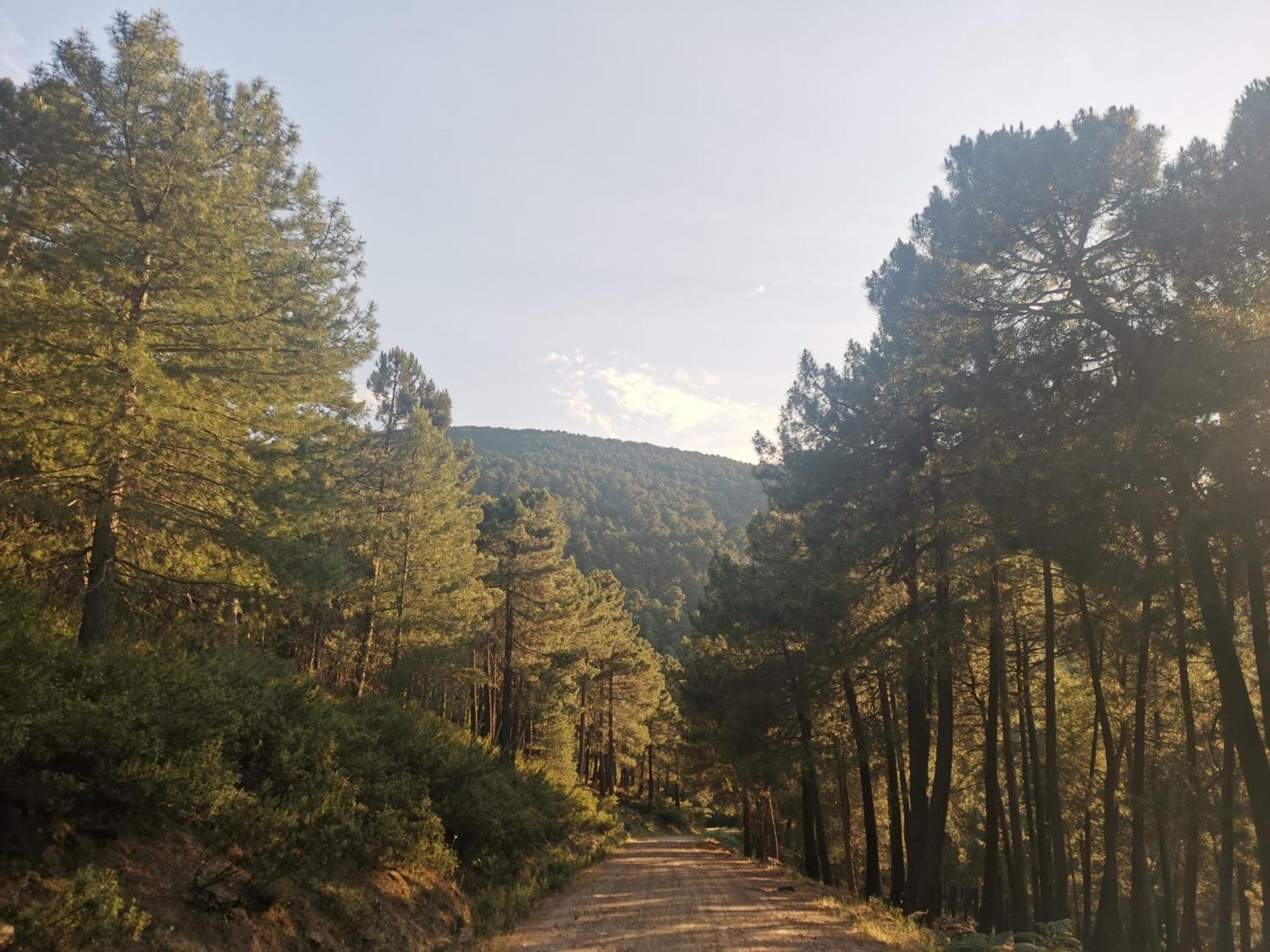 Вілла Bonita Casa En El Bosque - Ель-Тьємбло Екстер'єр фото